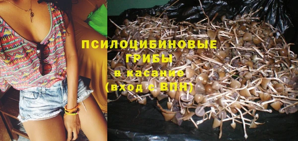 мдпв Богородицк