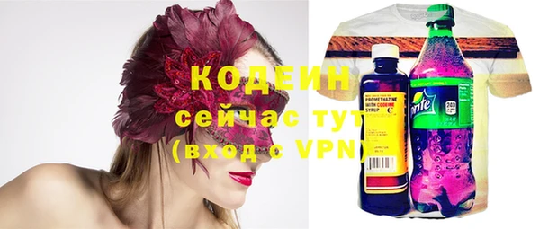 мдпв Богородицк