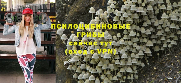 трава Сясьстрой