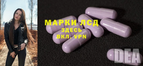 мдпв Богородицк