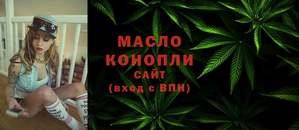 СК Богородск