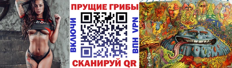 где продают наркотики  Вельск  Галлюциногенные грибы Magic Shrooms 